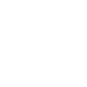 Vision Image